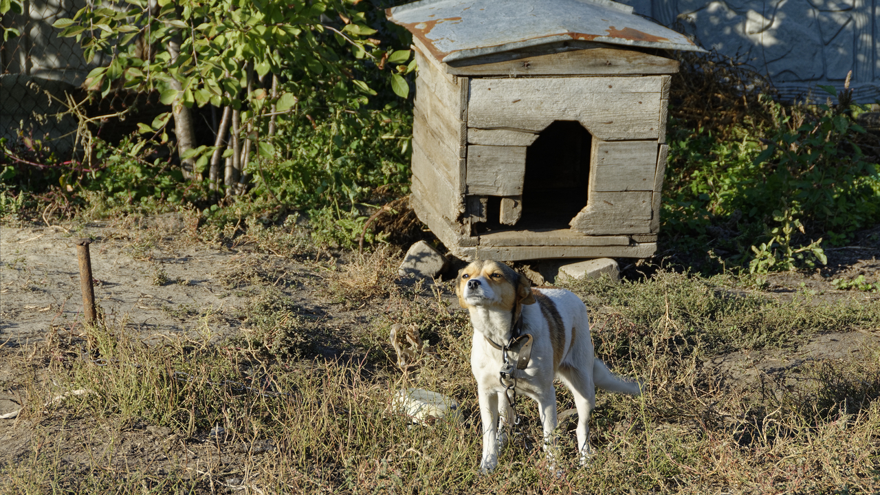 20181001-162515•Omelnik•Kremenchug•Poltava Oblast•Ukraine